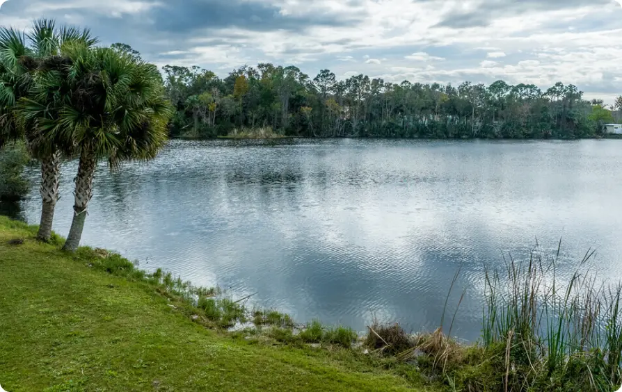 Wildflower Communities_Summershade Grove _Pond